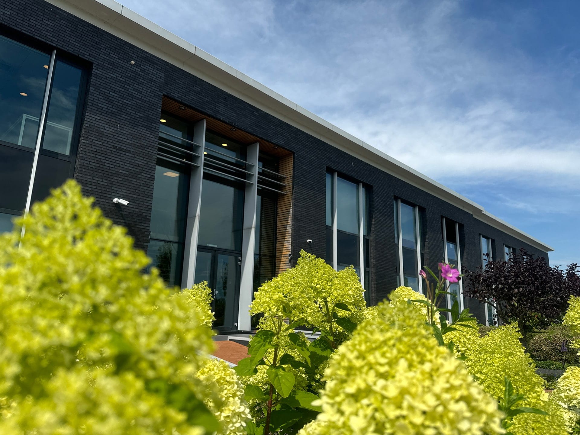 The dark brick FlexPET and Frapak office building in Zeewolde with yellow hydrangeas in front